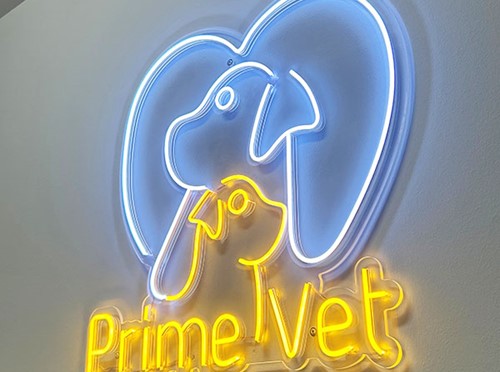 PRIMEVET - ASTITHAS KONSTANTINOS: Photos