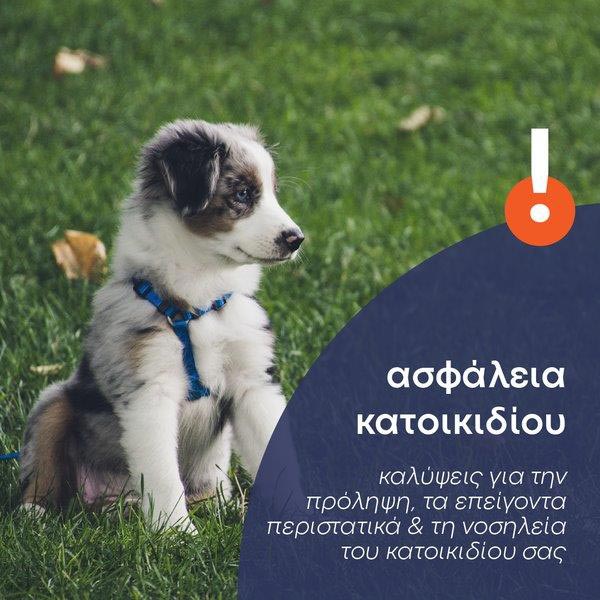 Advanced Insurance - Ασφάλεια κατοικιδίων