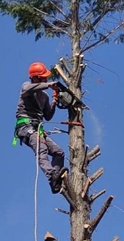 ΑΓΓΕΛΙΔΗΣ Χ. ΜΙΧΑΗΛ - ΚΗΠΟΣ & ΑΡΔΕΥΣΗ: Φωτογραφίες & Βίντεο