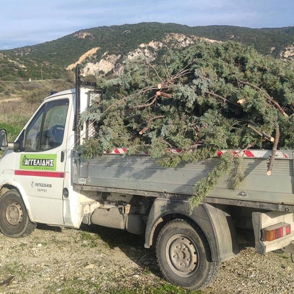 ΑΓΓΕΛΙΔΗΣ Χ. ΜΙΧΑΗΛ - ΚΗΠΟΣ & ΑΡΔΕΥΣΗ: Φωτογραφίες & Βίντεο
