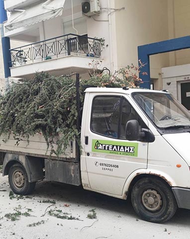 ΑΓΓΕΛΙΔΗΣ Χ. ΜΙΧΑΗΛ - ΚΗΠΟΣ & ΑΡΔΕΥΣΗ: Φωτογραφίες & Βίντεο