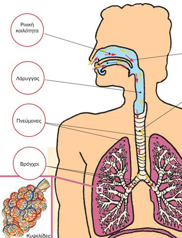 Voice disorders, Dysphonia