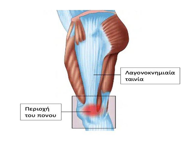 AGRAFIOTIS NIKOLAOS: Φωτογραφίες & Βίντεο