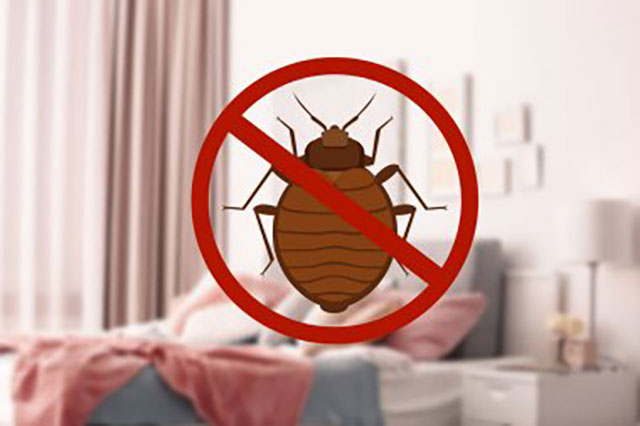 AGRIGUARD PEST CONTROL: Φωτογραφίες & Βίντεο