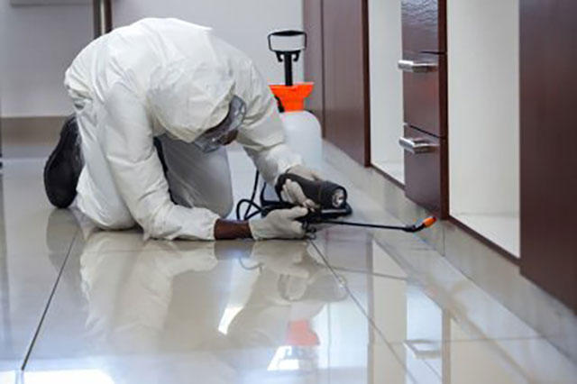 AGRIGUARD PEST CONTROL: Φωτογραφίες & Βίντεο
