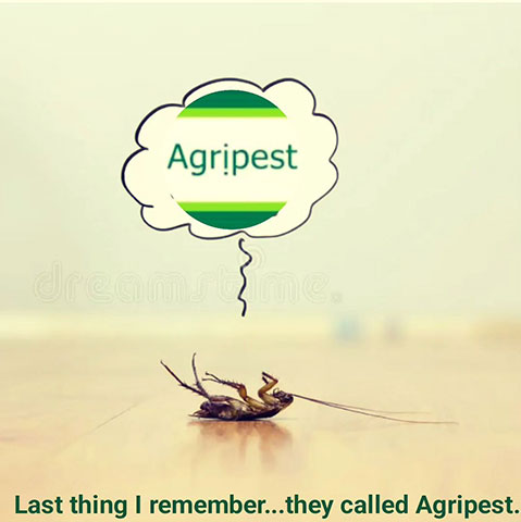 AGRIPEST: Φωτογραφίες & Βίντεο