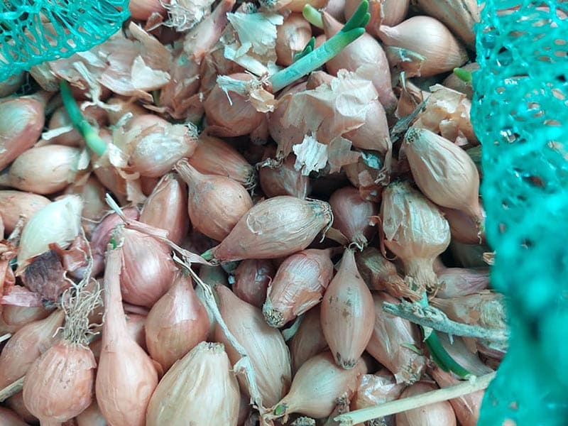 AGROFOOD - DONTAS EVAGGELOS: Φωτογραφίες & Βίντεο