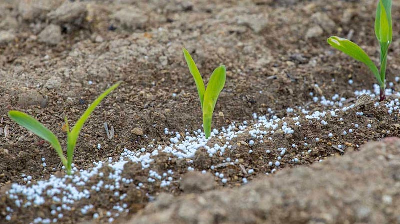 AGROSTAR: Φωτογραφίες & Βίντεο