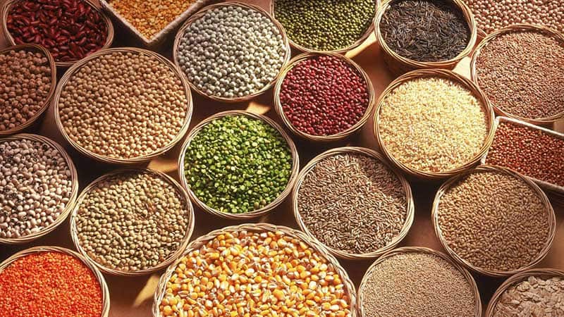 AGROSTAR: Φωτογραφίες & Βίντεο