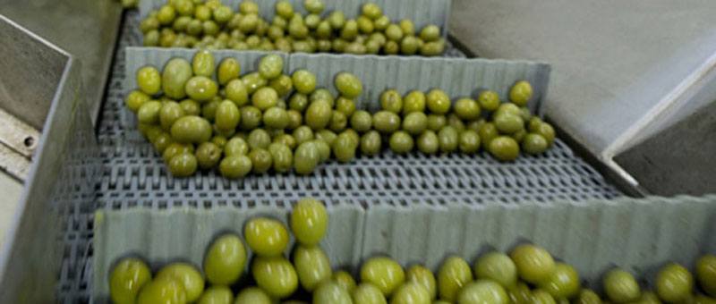 ΑΓΡΟΤΙΚΟΣ ΕΛΑΙΟΥΡΓΙΚΟΣ ΣΥΝΕΤΑΙΡΙΣΜΟΣ ΣΤΥΛΙΔΟΣ: Φωτογραφίες & Βίντεο