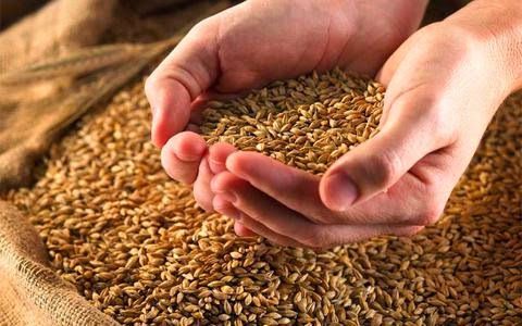 AGROTIKOS SYNETAIRISMOS SAGEIKON: Φωτογραφίες & Βίντεο