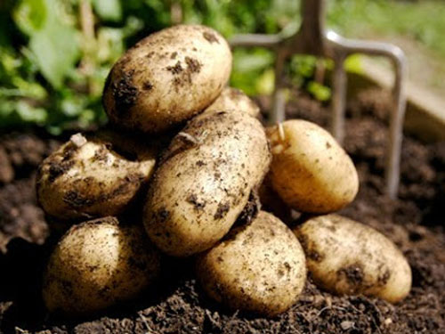 AGROTIKOS SYNETAIRISMOS SAGEIKON: Φωτογραφίες & Βίντεο