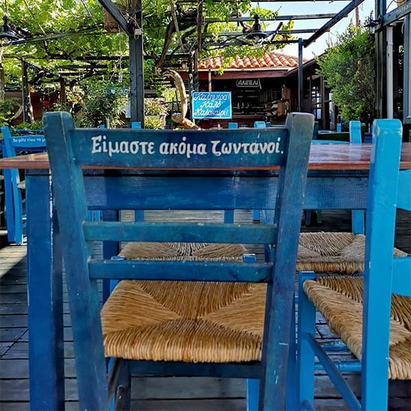 ΑΛΕΞΑΝΔΡΟΠΟΥΛΟΣ ΝΙΚΟΣ: Φωτογραφίες & Βίντεο