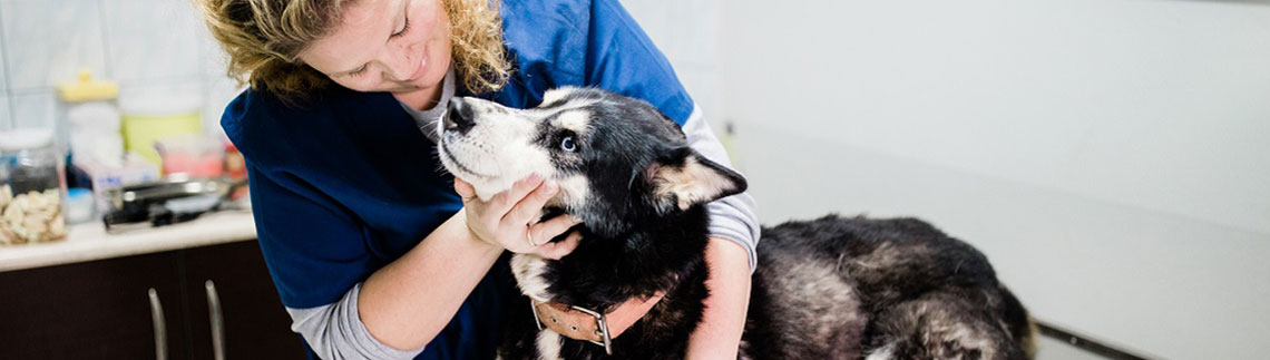 ALEXANDROUPOLIS VETERINARY CENTER - GRAMMENIDOU JULIA logo