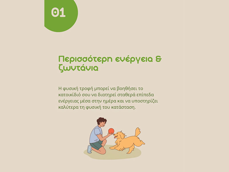 ALEX'S B.A.R.F. STORE: Φωτογραφίες & Βίντεο