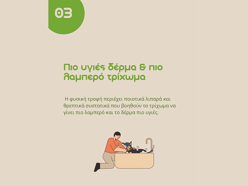 ALEX'S B.A.R.F. STORE: Φωτογραφίες & Βίντεο