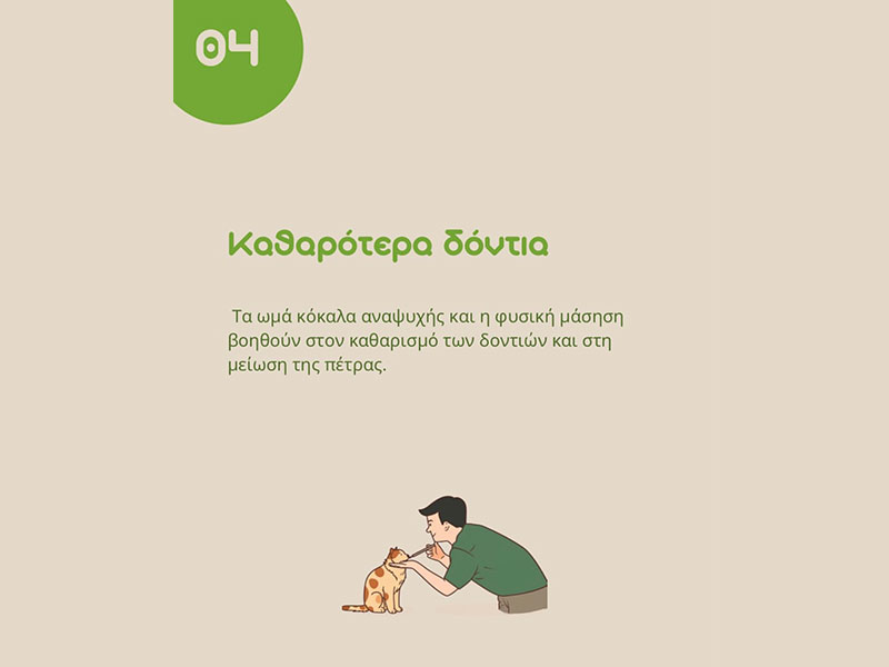 ALEX'S B.A.R.F. STORE: Φωτογραφίες & Βίντεο