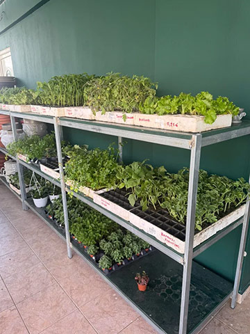 ALL GARDEN - DIAKOGEORGIOU PANAGIOTIS: Φωτογραφίες & Βίντεο
