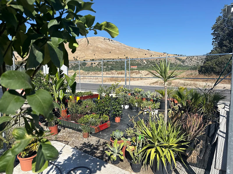 ALL GARDEN - DIAKOGEORGIOU PANAGIOTIS: Φωτογραφίες & Βίντεο