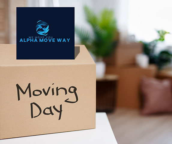 ALPHA MOVE WAY I.K.E.: Φωτογραφίες & Βίντεο