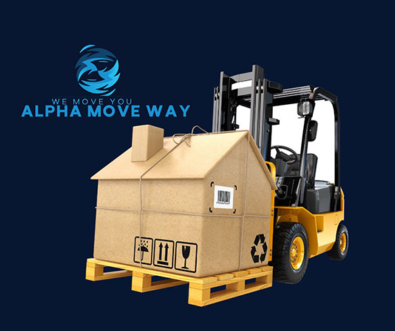 ALPHA MOVE WAY I.K.E.: Φωτογραφίες & Βίντεο
