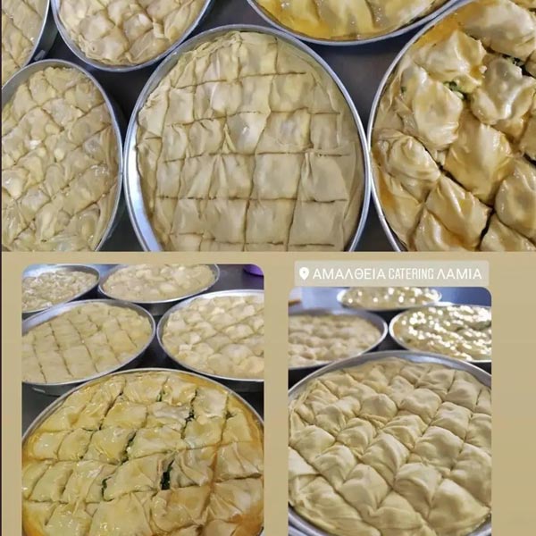 ΑΜΑΛΘΕΙΑ: Φωτογραφίες & Βίντεο