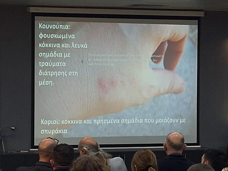 AMENTO: Φωτογραφίες & Βίντεο
