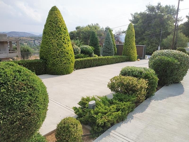ΑΜΠΑΤΖΗ GREEN WAYS: Φωτογραφίες & Βίντεο