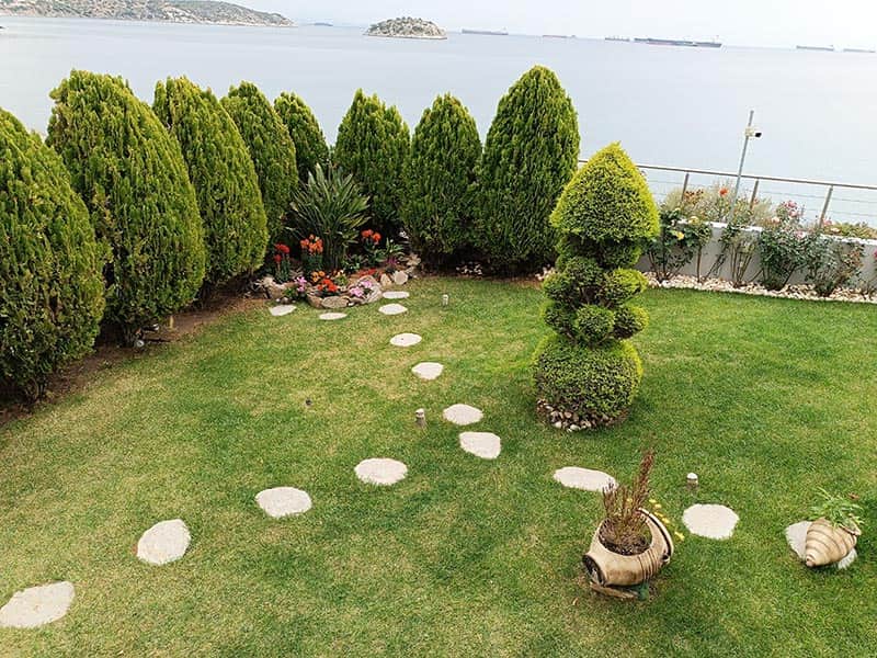 ΑΜΠΑΤΖΗ GREEN WAYS: Φωτογραφίες & Βίντεο