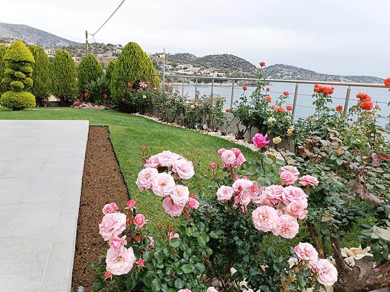 ΑΜΠΑΤΖΗ GREEN WAYS: Φωτογραφίες & Βίντεο