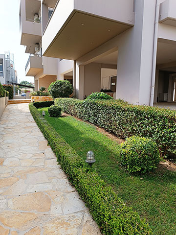 ΑΜΠΑΤΖΗ GREEN WAYS: Φωτογραφίες & Βίντεο