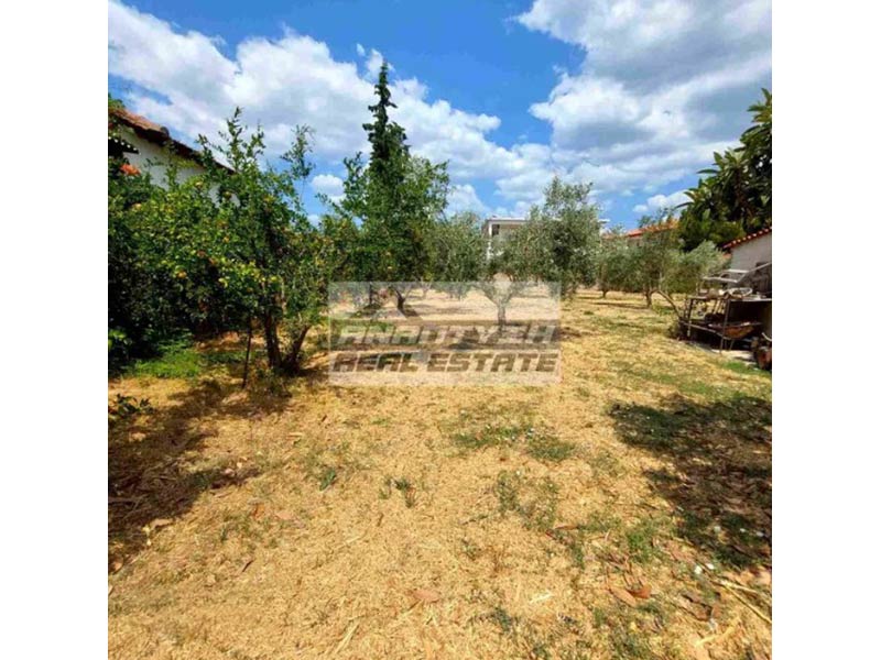 Πώληση Οικοπέδου στον Άγιο Μάμα Χαλκιδικής