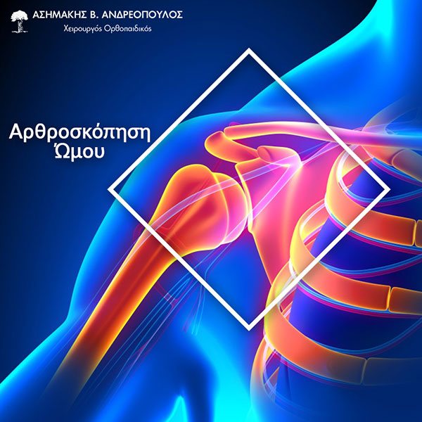 ΑΝΔΡΕΟΠΟΥΛΟΣ ΑΣΗΜΑΚΗΣ: Φωτογραφίες & Βίντεο