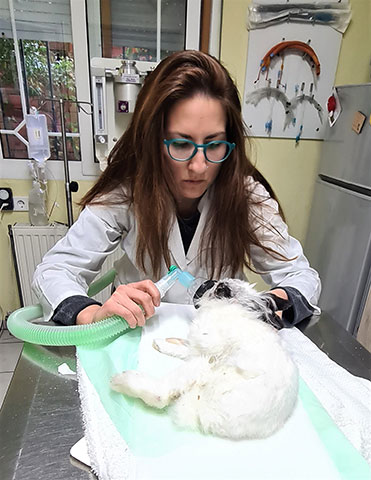 ANIMAL CARE - ΣΕΡΓΚΕΛΙΔΟΥ ΕΙΡΗΝΗ & ΤΖΙΩΤΖΙΟΥ ΛΑΜΠΡΙΝΗ: Φωτογραφίες & Βίντεο