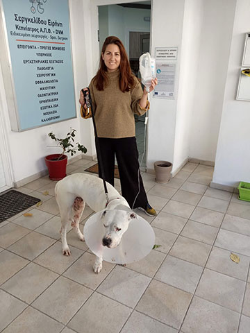 ANIMAL CARE - ΣΕΡΓΚΕΛΙΔΟΥ ΕΙΡΗΝΗ & ΤΖΙΩΤΖΙΟΥ ΛΑΜΠΡΙΝΗ: Φωτογραφίες & Βίντεο