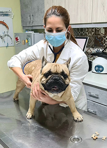 ANIMAL CARE - ΣΕΡΓΚΕΛΙΔΟΥ ΕΙΡΗΝΗ & ΤΖΙΩΤΖΙΟΥ ΛΑΜΠΡΙΝΗ: Φωτογραφίες & Βίντεο
