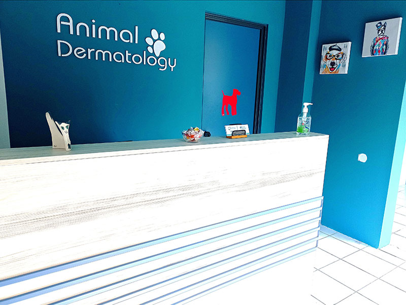 ANIMAL DERMATOLOGY: Φωτογραφίες & Βίντεο