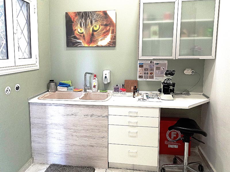 ANIMAL DERMATOLOGY: Φωτογραφίες & Βίντεο