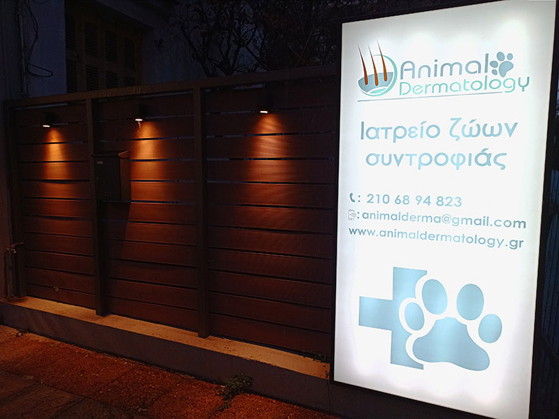 ANIMAL DERMATOLOGY: Φωτογραφίες & Βίντεο