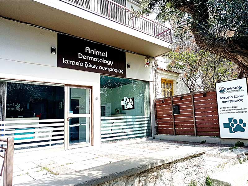 ANIMAL DERMATOLOGY: Φωτογραφίες & Βίντεο