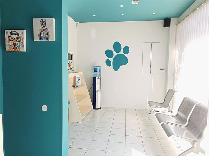 ANIMAL DERMATOLOGY: Φωτογραφίες & Βίντεο