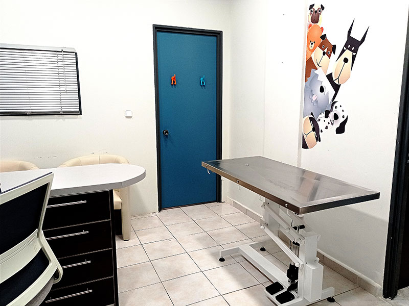 ANIMAL DERMATOLOGY: Φωτογραφίες & Βίντεο
