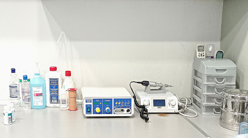 ANIMAL DERMATOLOGY: Φωτογραφίες & Βίντεο