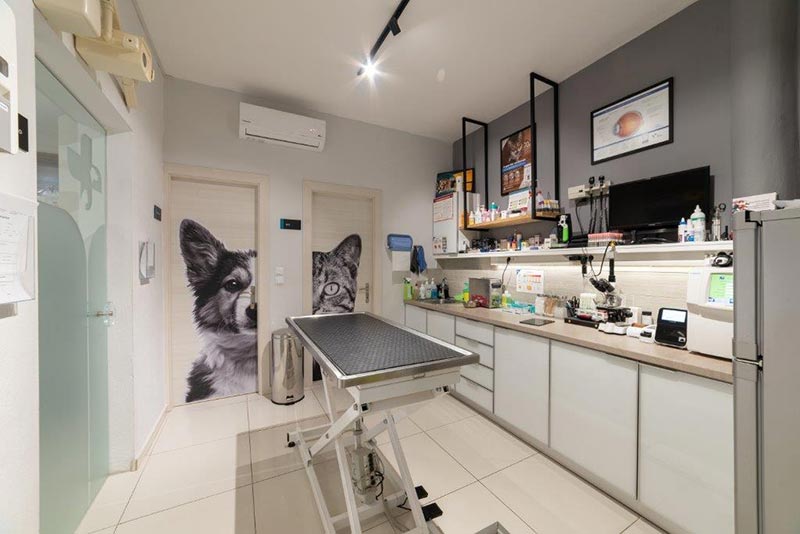 ANIMAL MEDCARE: Φωτογραφίες & Βίντεο