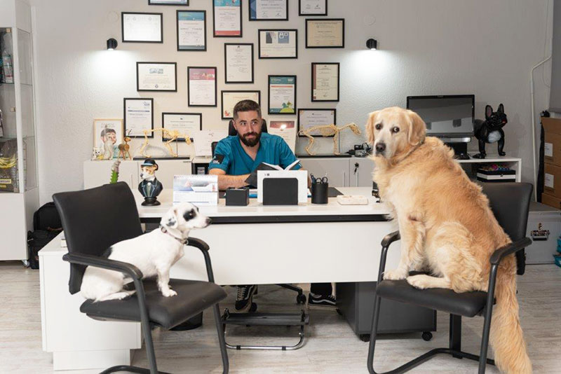 ANIMAL MEDCARE: Φωτογραφίες & Βίντεο