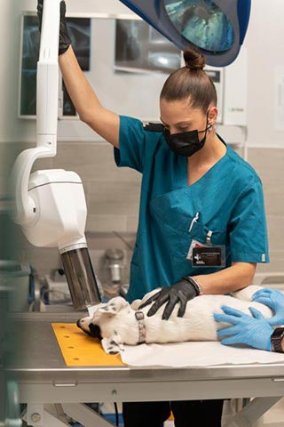 ANIMAL MEDCARE: Φωτογραφίες & Βίντεο