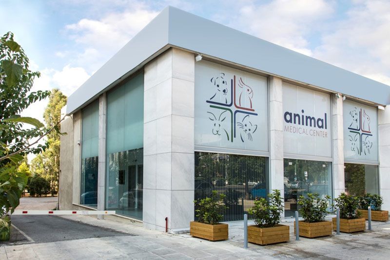 ANIMAL MEDICAL CENTER: Φωτογραφίες & Βίντεο