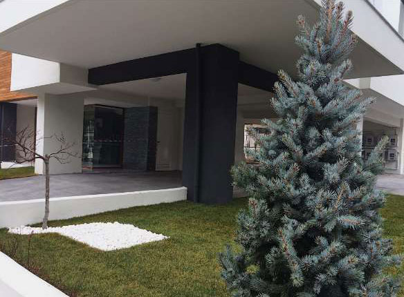 ANOTHER FOREST: Φωτογραφίες & Βίντεο