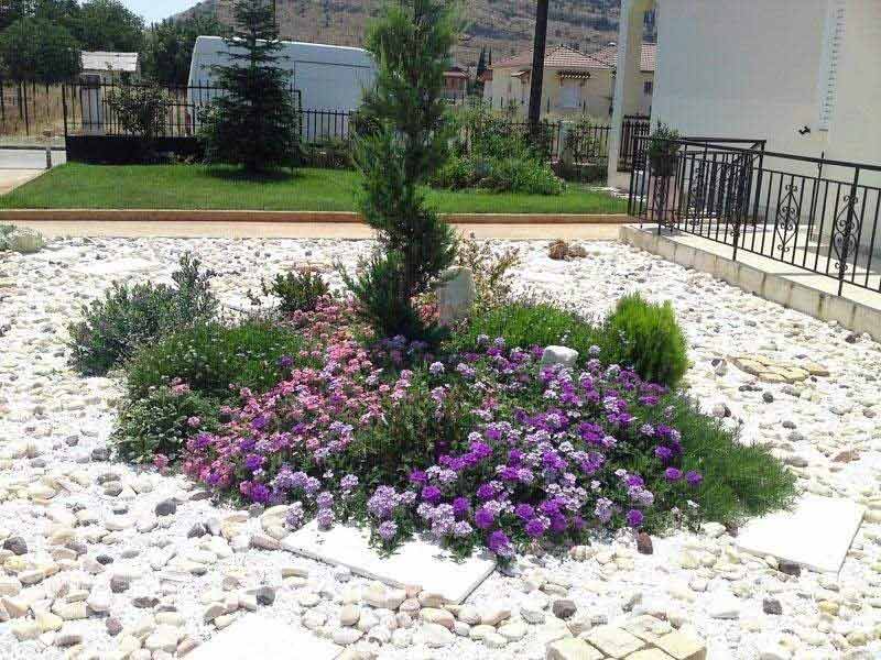 ΑΝΘΟΤΕΧΝΙΚΗ ΝΕΜΕΑΣ: Φωτογραφίες & Βίντεο