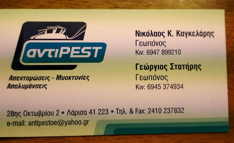 ANTIPEST: Φωτογραφίες & Βίντεο